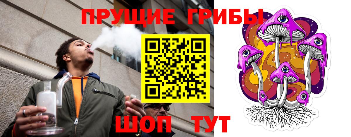 что такое наркотик  Вход с VPN  Омск  Галлюциногенные грибы Psilocybe 